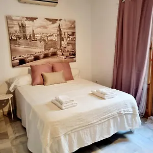 Magnifico Loft Sevillano En El Centro Apartamento